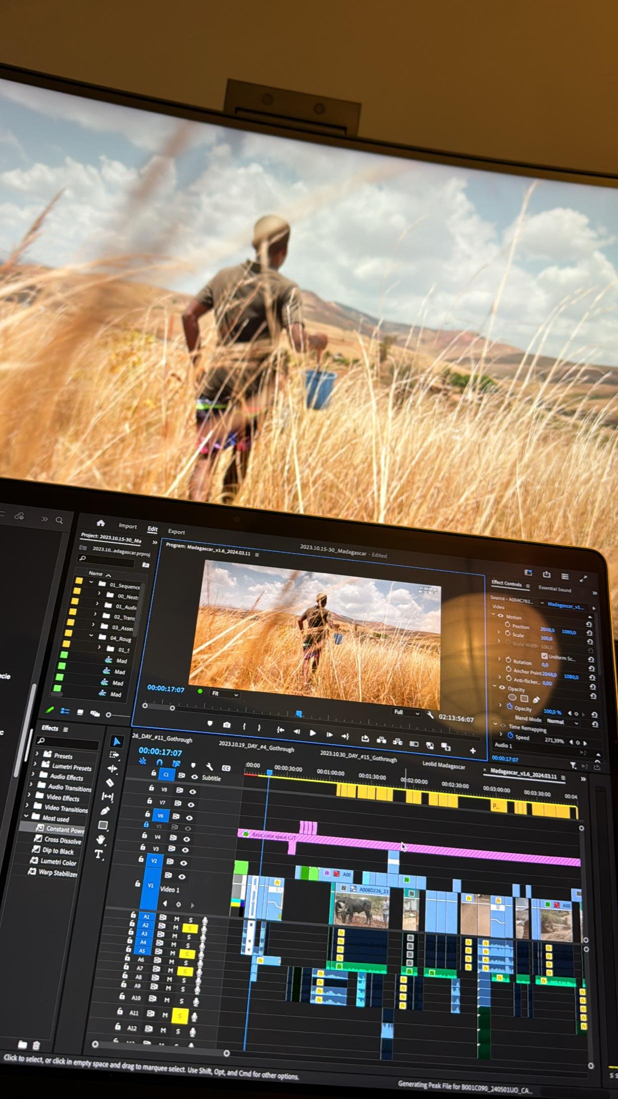 Ein Schnittraum: eine Premiere-Pro-Timeline neben einem Referenzmonitor, der die Madagaskar-Aufnahme eines Mannes zeigt, der durch hohes goldenes Gras läuft.